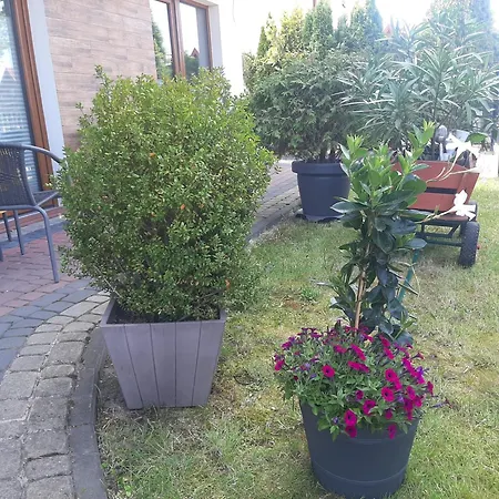 Privat bolig Goscinne 